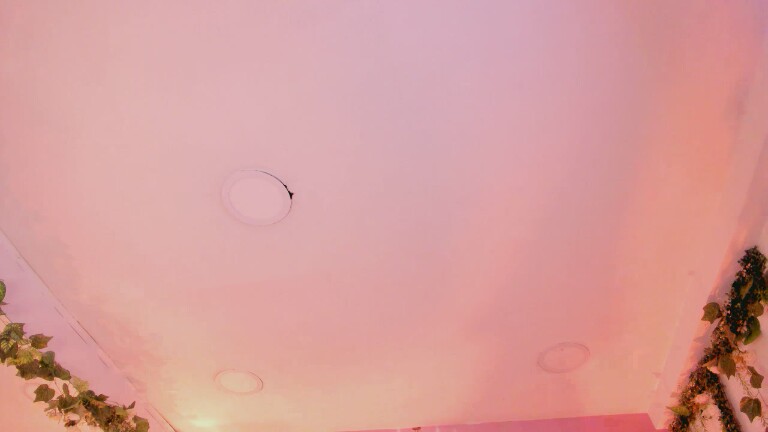 NaraSuarez's Streamate show and profile