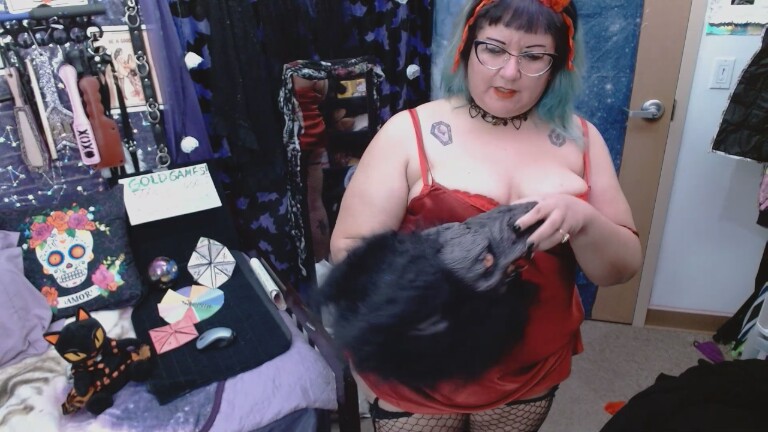 ChaosKittyXO's Streamate show and profile